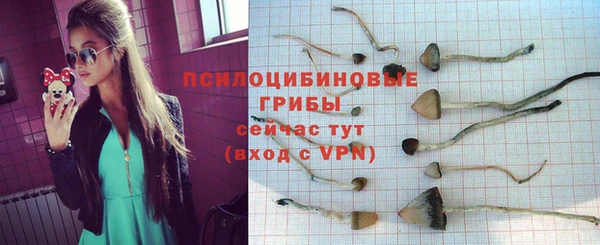 мескалин Алексин