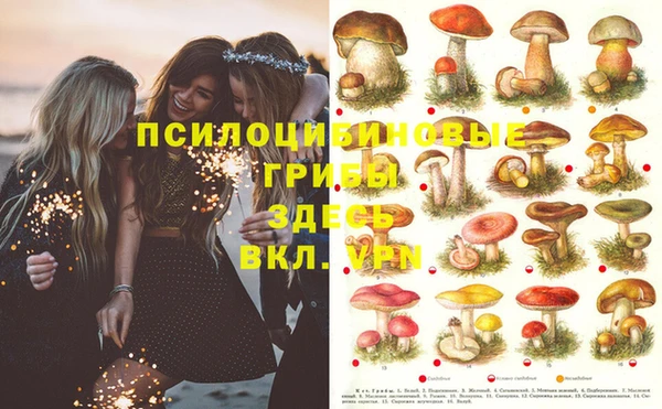 меф Алзамай