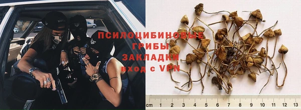 мескалин Алексин